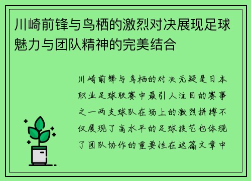 川崎前锋与鸟栖的激烈对决展现足球魅力与团队精神的完美结合