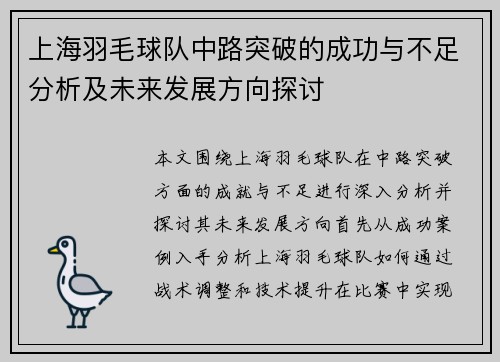 上海羽毛球队中路突破的成功与不足分析及未来发展方向探讨